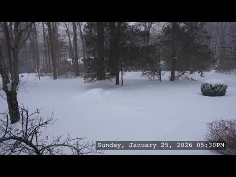 Winter Storm drops over one-foot of snow Time Lapse (4K)