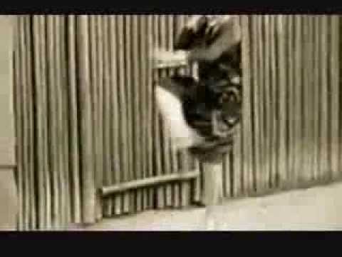 New Years Ever Countdown 2014 Master Video 0002