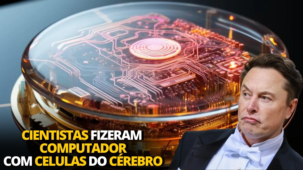 Computador feito com células cerebrais humanas  | Super ímã foi criado e faz levitar "pedaço do sol"