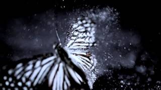 2017 Lexus IS facelift - Video Debut