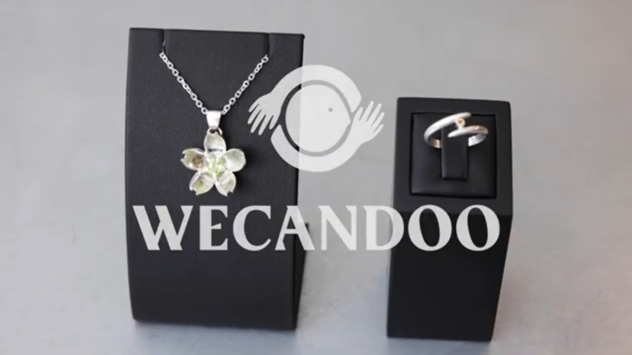 Créez votre médaille du zodiaque en argent sertie de pierres semi-précieuses - Vidéo
