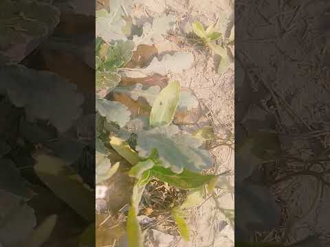 #all #beach #goodvibes #travel #karachicity