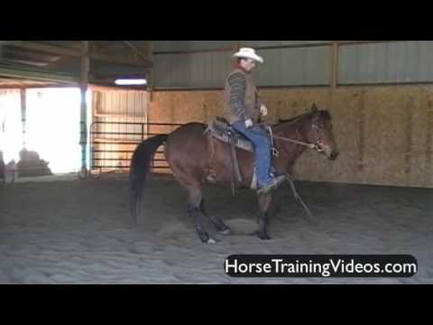 Horse Training - Spin Critique pt.1