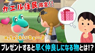 カエル系住民限定！プレゼントすると喜ぶあるモノとは…？写真攻略における傘のメリットを解説【あつ森】