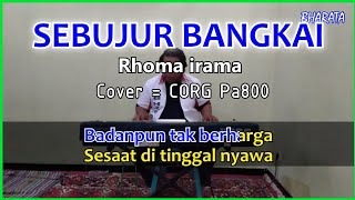 Download lagu SEBUJUR BANGKAI - Rhoma irama karaoke - cover Pa800 mp3 Download lagu SEBUJUR BANGKAI - Rhoma irama karaoke - cover Pa800 mp3