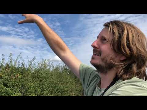 The Making of Wild Woodbury