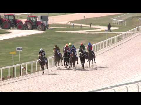 2021.04.25. 01. futam - PORVAI HENDIKEP (V/b.) (szintetikus pálya)