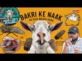 बकरी के नाक से किडे बाहर आना Nasal Bolt In Goat Symptoms