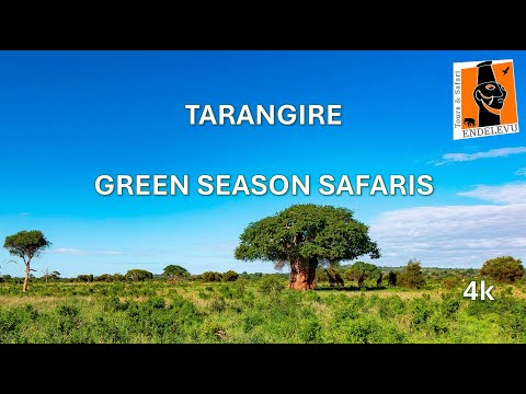 Tarangire Video