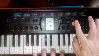 Video thumbnail for The Casio SA-76 by The Guitar Den