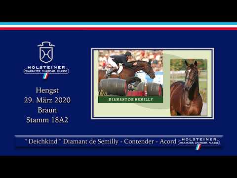 Holsteiner Elite-Fohlenauktion | Nr. 08 v. Diamant de Semilly - Contender