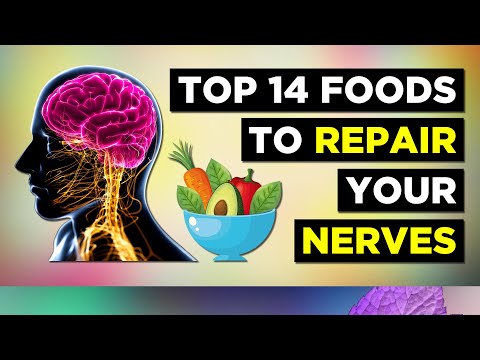 Top 14 BEST Foods For Your Nervous System (Neuropathy)