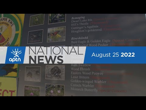 APTN National News August 25, 2022 – Church burnt down, Prey breaks record
