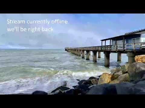 Camera Offline