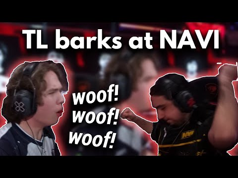 TL Jamppi barks and taunts NAVI, cNed gets tilted. VCT EMEA Playoffs TL vs NAVI