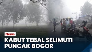 Bogor Hari Ini: Diselimuti Kabut Tebal, Wisatawan di Puncak Bogor Putar Balik, Batal Tahun Baru