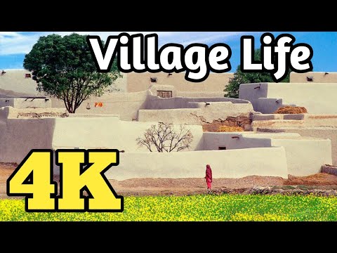 4K Village Video Nature S🏞️ | Gulzar Village Vlogger