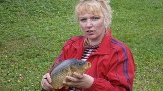 Карп на даче в пруду