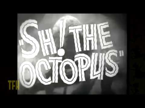 Michael Schlesinger on SH! THE OCTOPUS