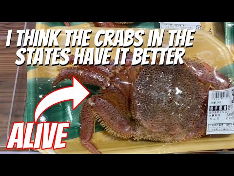 Inside a HUGE Japanese Grocery Store (Tour)