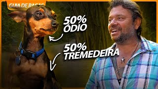 Miniatura do vídeo