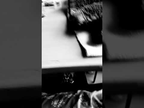 LOL dolls Anna and Sunflower can't sleep part 2 Ep3