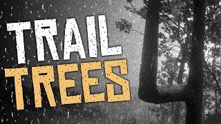 What Are The Trail Trees - Red Dead Redemption 2