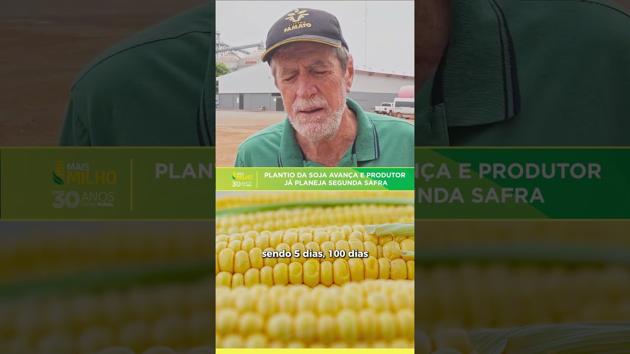Plantio da soja avança e produtor já planeja segunda safra