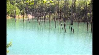 Wave :Frank Sinatra &amp; Antonio Carlos Jobim / 波(Wave)