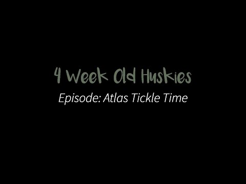Atlas Tickle Time