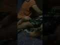 Pijat Kon L Pak Syarif Kontenpaksyarif Channelpaksyarif Pijatpaksyarif Shorts