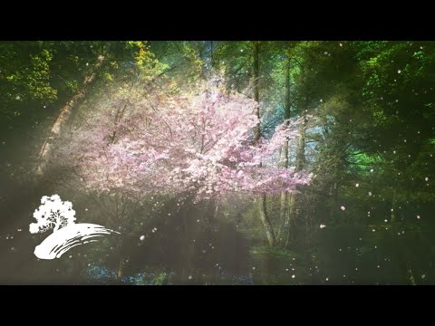 David Arkenstone - Fairy Dreams [FULL Album Visualizer]