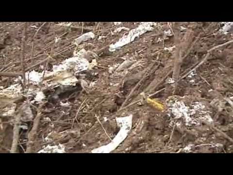 Oryginalny film reportera TVP ze Smoleńska