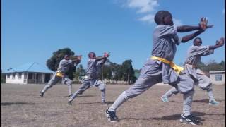 Download lagu Shaolin Temple Tanzania mp3 Download lagu Shaolin Temple Tanzania mp3