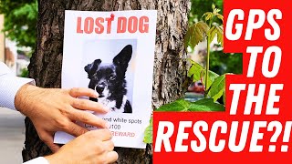 Keeps Your Dog SAFE 😧  NEW Petcube GPS Review