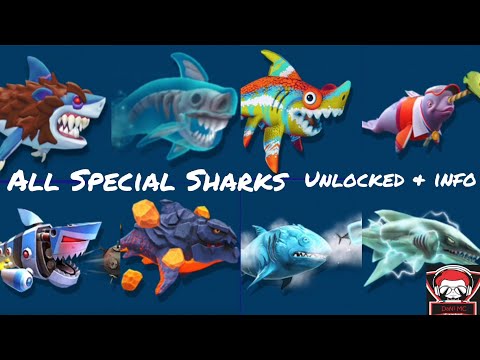 ALL SPECIAL SHARKS UNLOCKED! & INFO - HUNGRY SHARK EVOLUTION