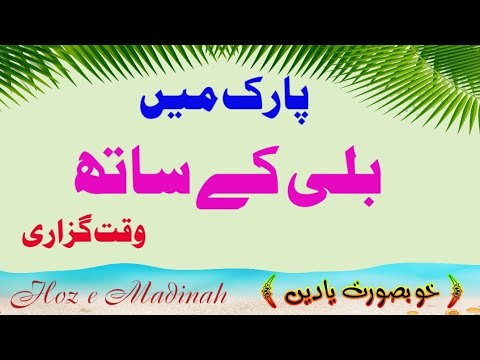 Cat's Lover || Hadiqa Al Slam || پارک میں بلی کے ساتھ ||  #14. 08.20022 || #Hoz_e_Madinah