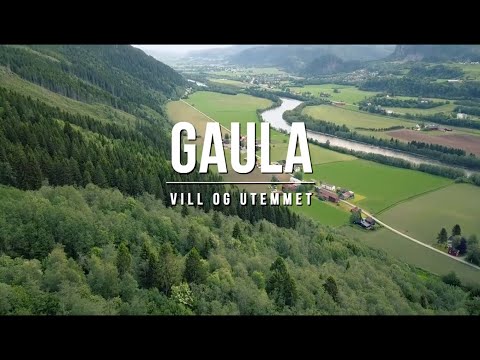 Gaula Intro Salmon Fishing