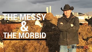 The Ranch Jobs Nobody Wants - The Project List