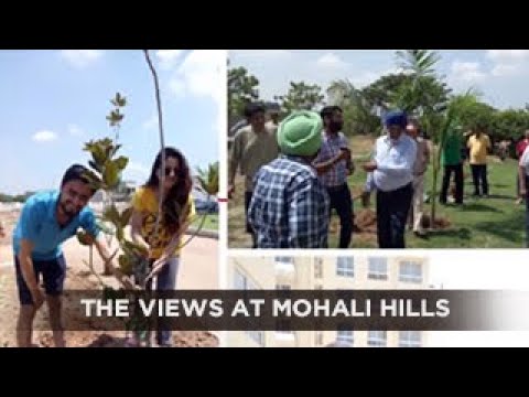 Walkthrough Walkthrough