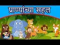 प्राण्यांच्या सहल Marathi Goshti गोष्टी Chan Chan Goshti