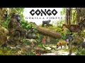 Zoo Tours The Best Exhibit In America Congo Gorilla Forest At The Bronx Zoo