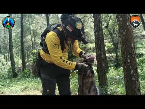 Latihan rescue Dog Indonesia di wana wisata Winong  bringin Wajak malang Jawatimur