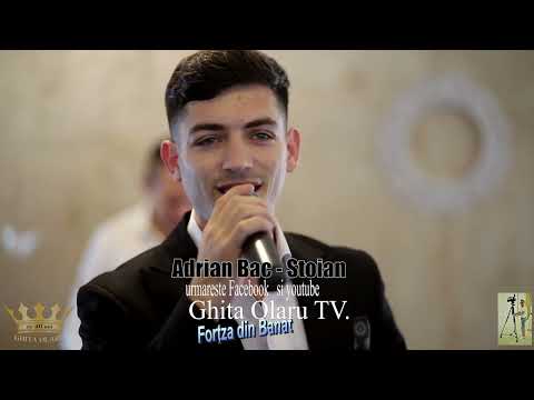 In Memoriam Adrian  BAC -  Stoian -  Jos la Ana Lugojana