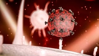 A potential cure for HIV | The Economist