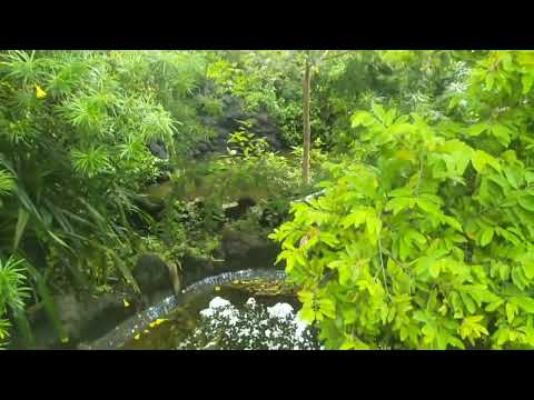 victoria natural park