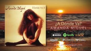 ¿A Dónde Va? Lyrics English Translation