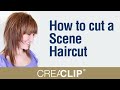 How To Cut A Scene Haircut Singer Hayley Williams Hairstyle EMO Style