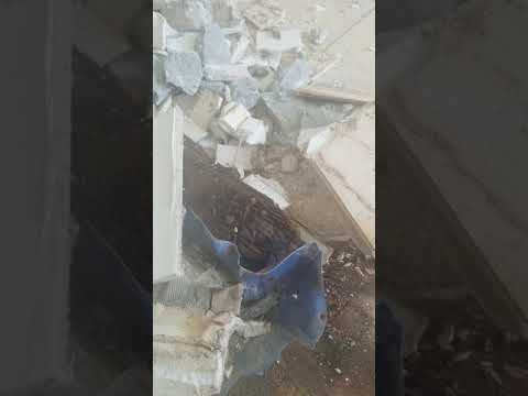 Day 3 Bonus coverage