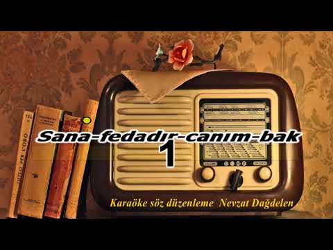 Karaöke canımın ta icisin sen